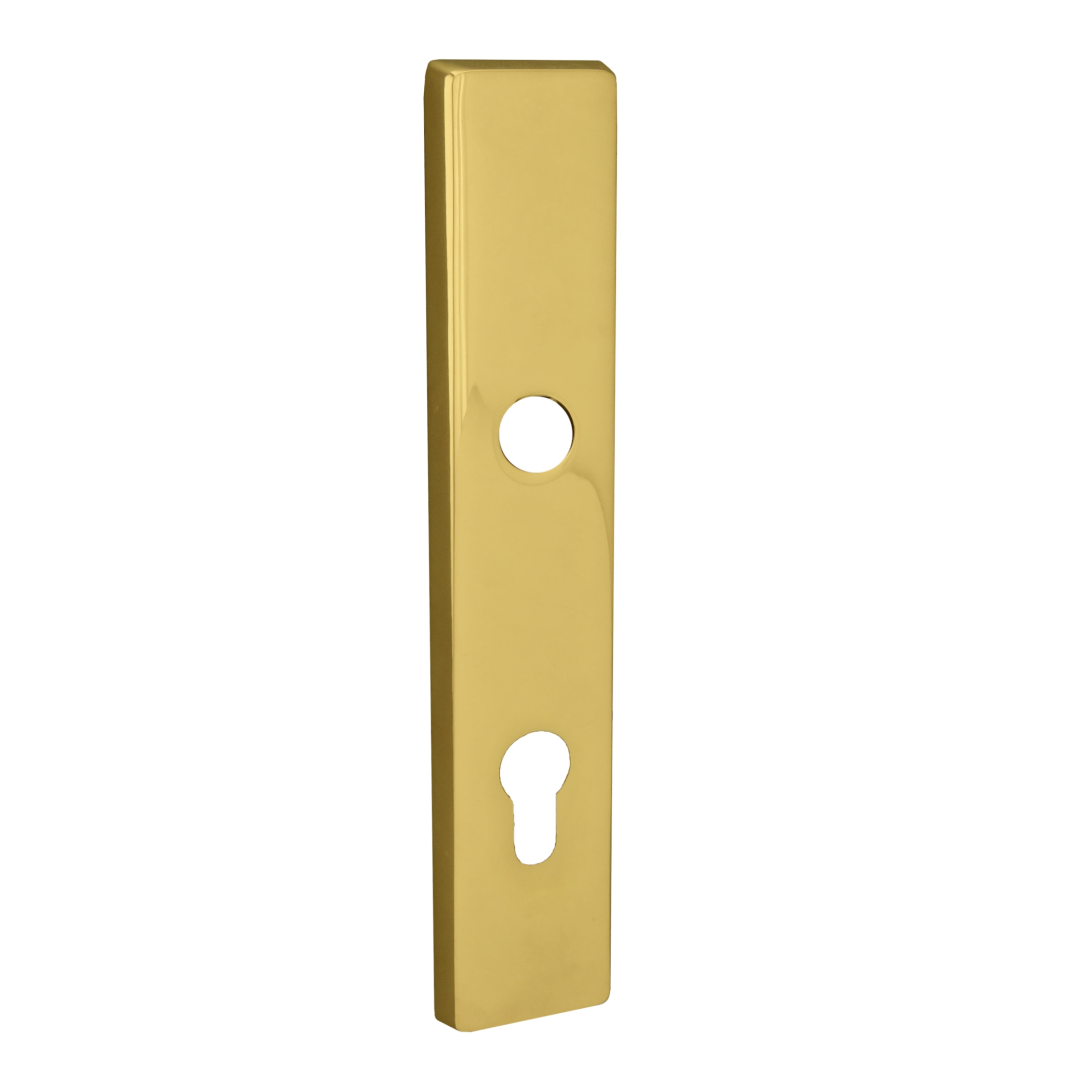 Sicherheitstürschild Außen Dist. 72 mm PZ, Messing MGL, 235 x 45 x 9 mm der Serie TS124 Bild1