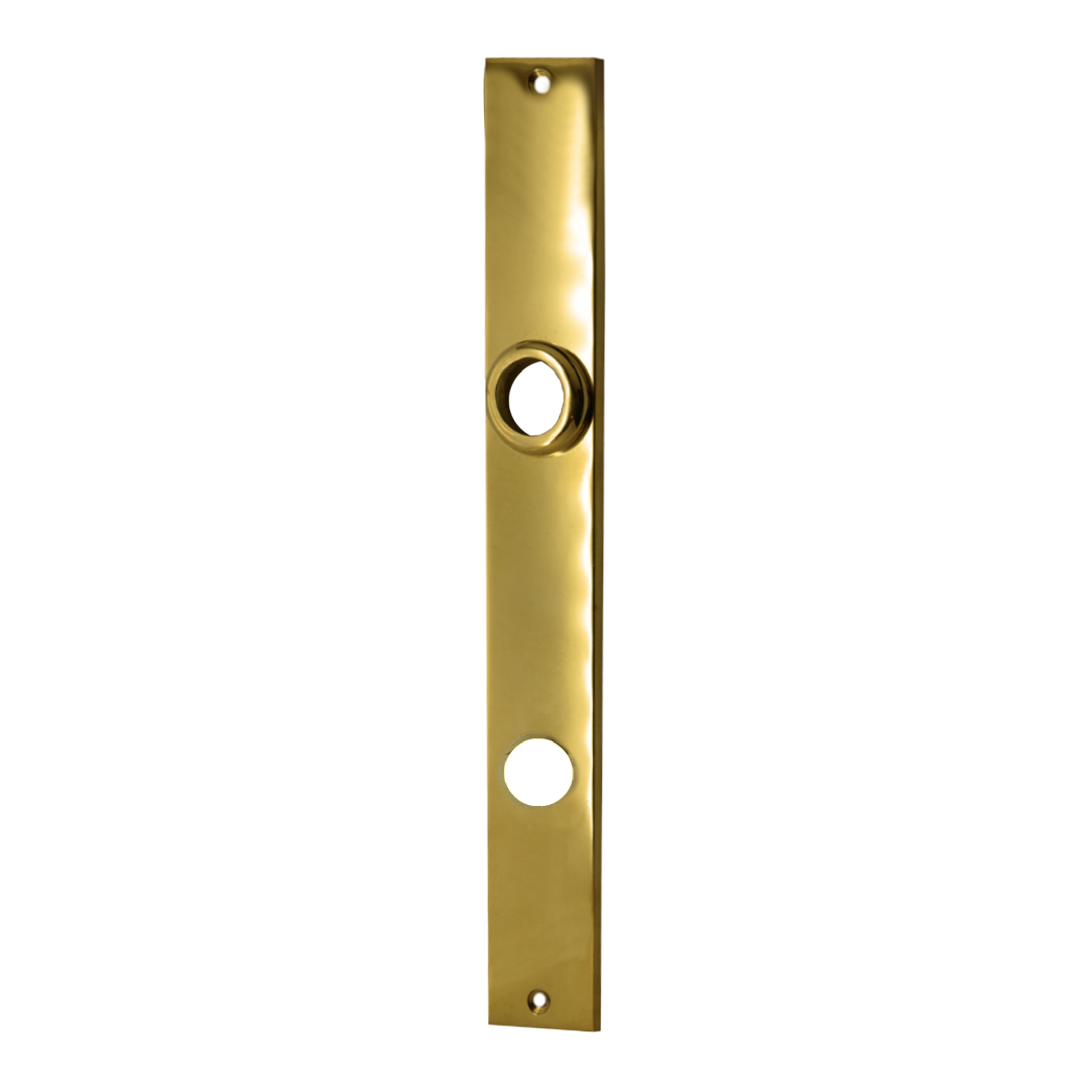 Türschild Messing glänzend 32 x 250 mm, WC-Lochung, Distanz 78 mm Serie TS149 Bild1
