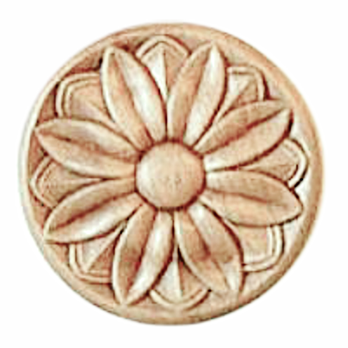 Rosette in Buche D100 Serie AH350 Bild1