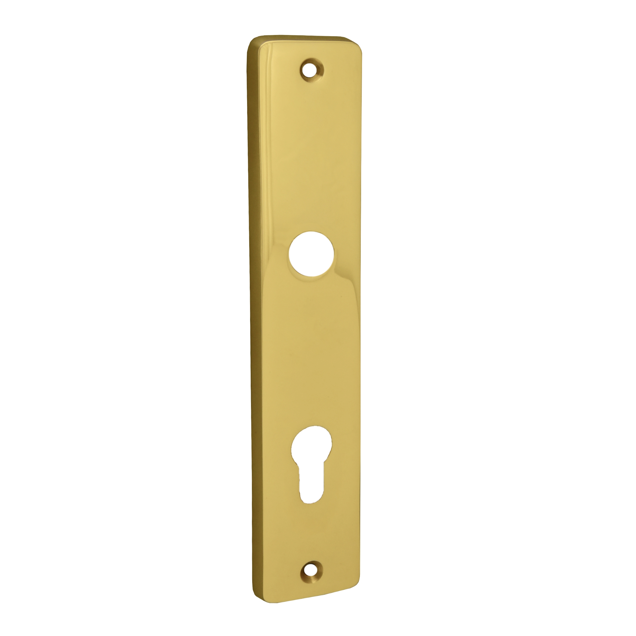 Sicherheitstürschild Innen Dist. 72 mm PZ, Messing MGL, 235 x 45 x 9 mm der Serie TS124 Bild1