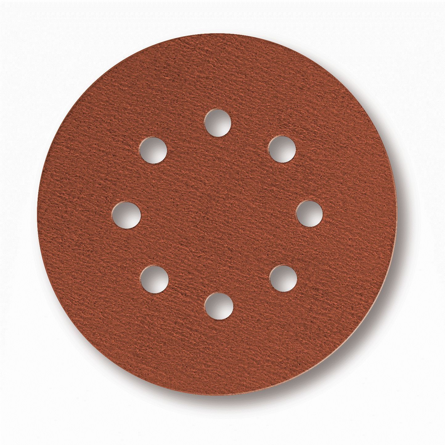 Coarse Cut Schleifscheiben P80 D125mm 50 Stk Serie SP127 Bild1