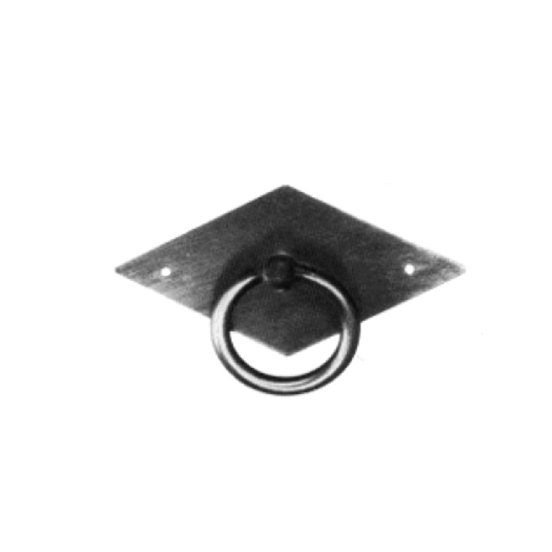 Klassizismus Möbelschild Eisen rostig ERO 60x30mm mit Ring Serie KL004 Bild1