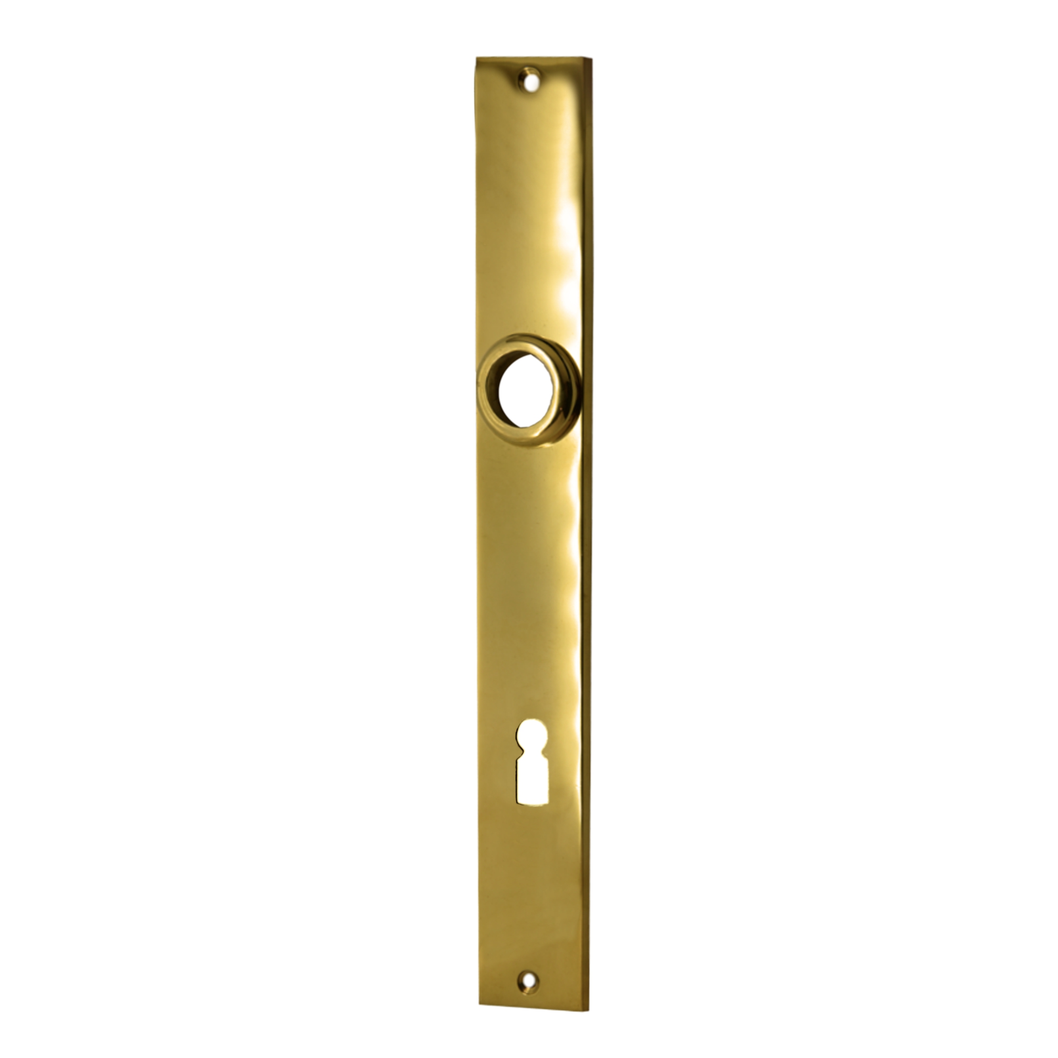 Zimmertürschild BB Messing 230 x 31 mm Distanz 72 mm der Serie TS149 Bild1