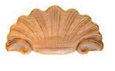 Muschel in Buche. 245x120 mm Bild1 Muschel in Buche 245 x 120mm Serie AH381 Bild1