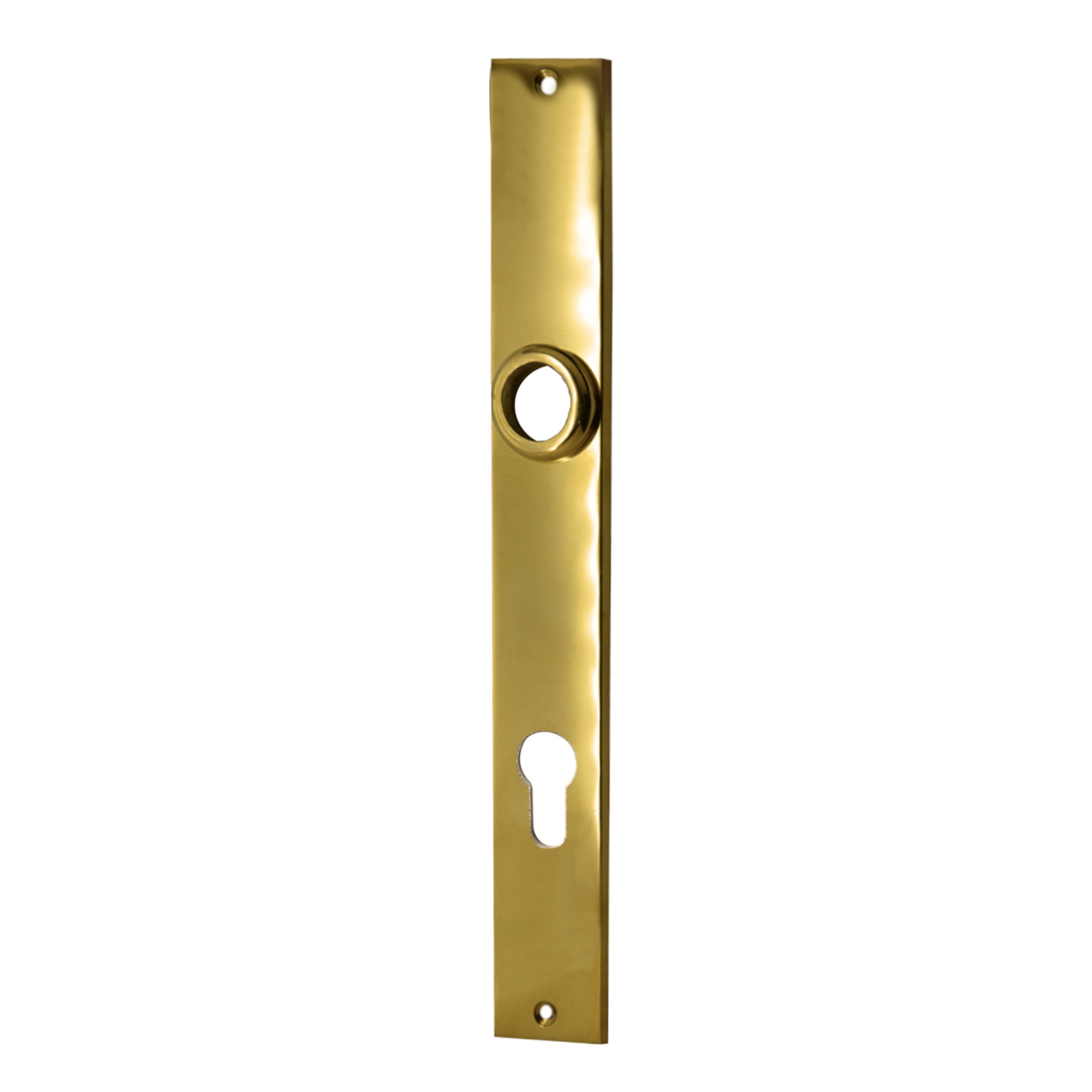 Türschild Messing glänzend, PZ-Lochung, Distanz 72 mm, 31 x 230 mm Serie TS149 Bild1