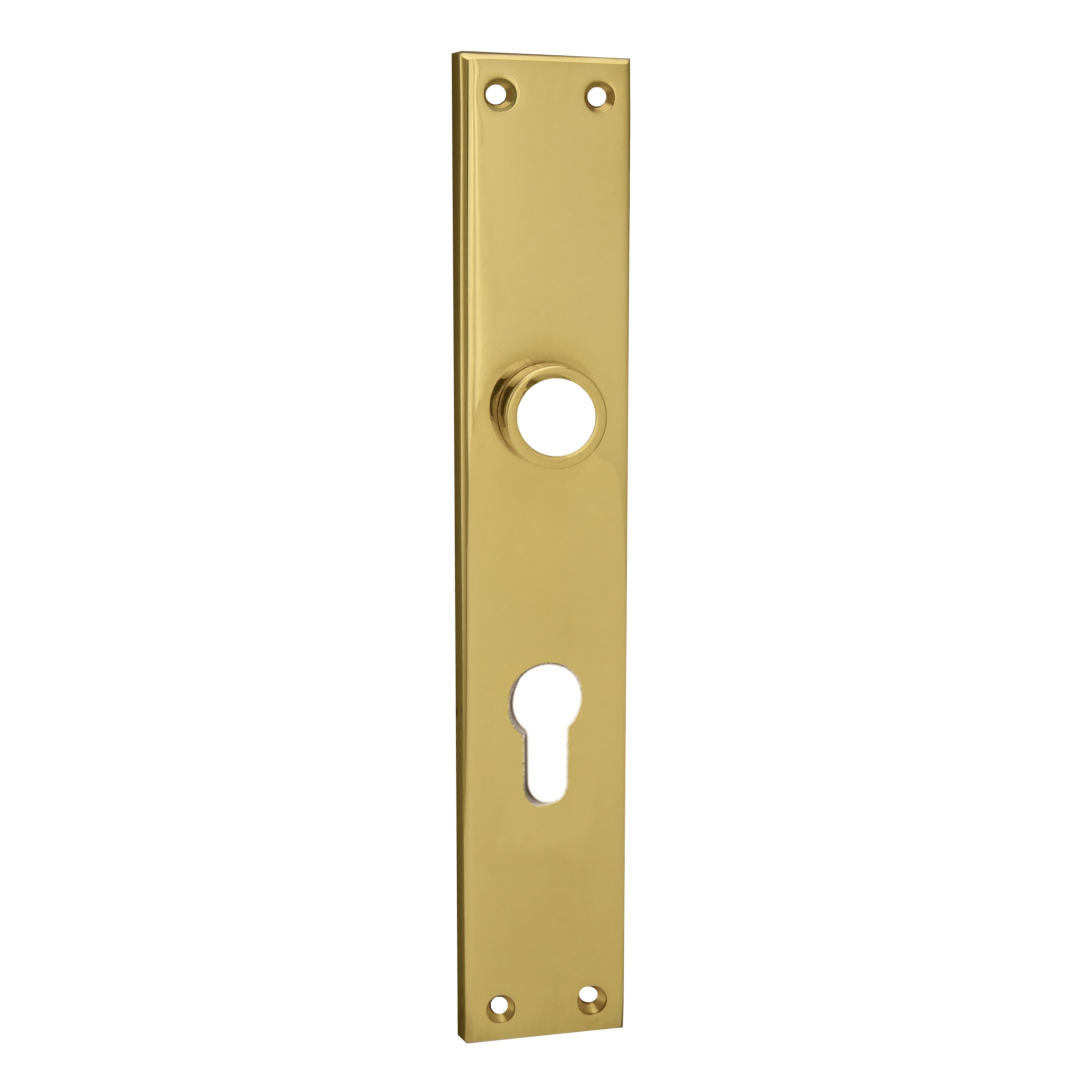 Bauhaus - Stil - Sicherhheitschild Innen Dist. 72 mm PZ, Messing glänzend 240 x 40 mm Serie TS041 Bild1