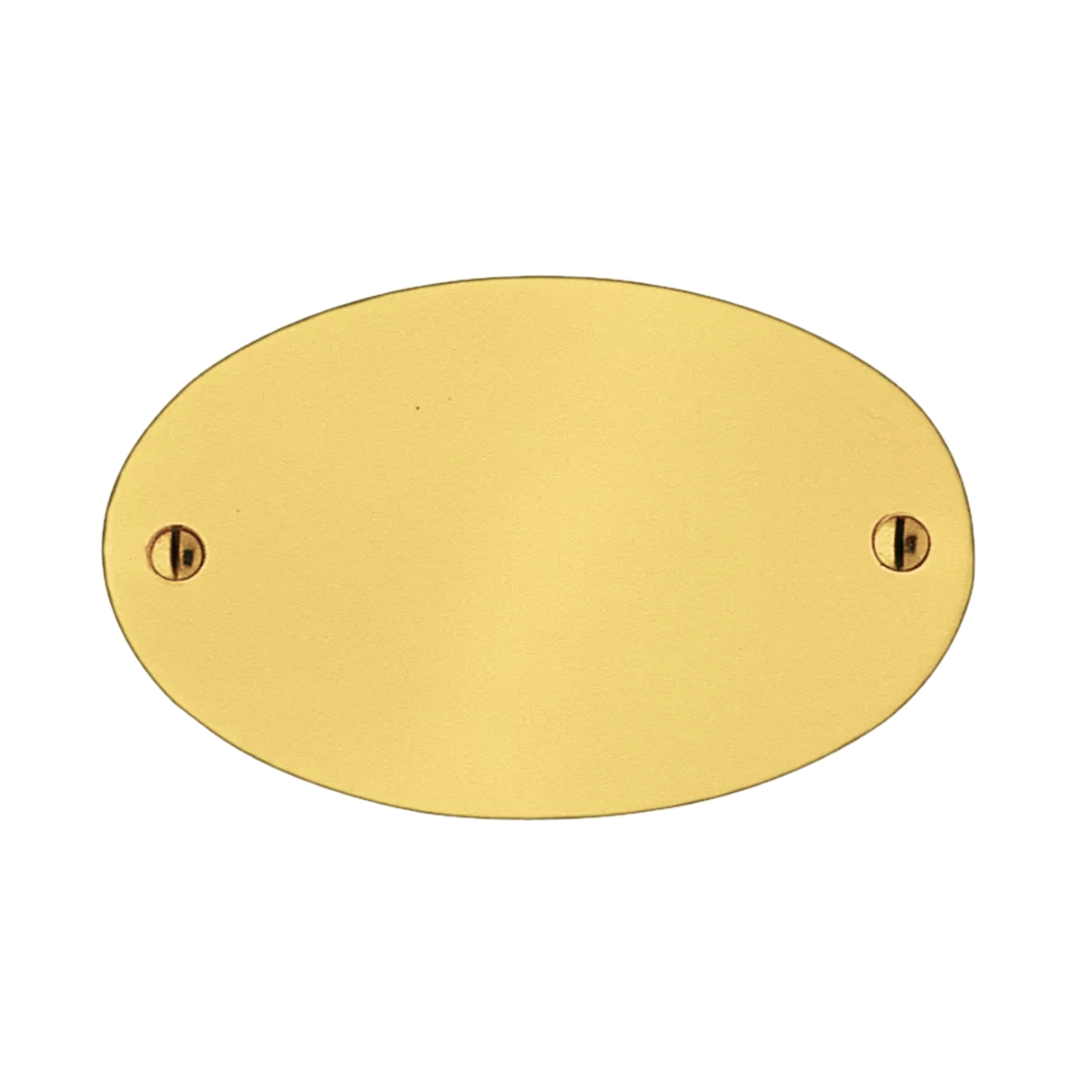 Namensschild Messing MGL 98x60mm Serie NS005 Bild1