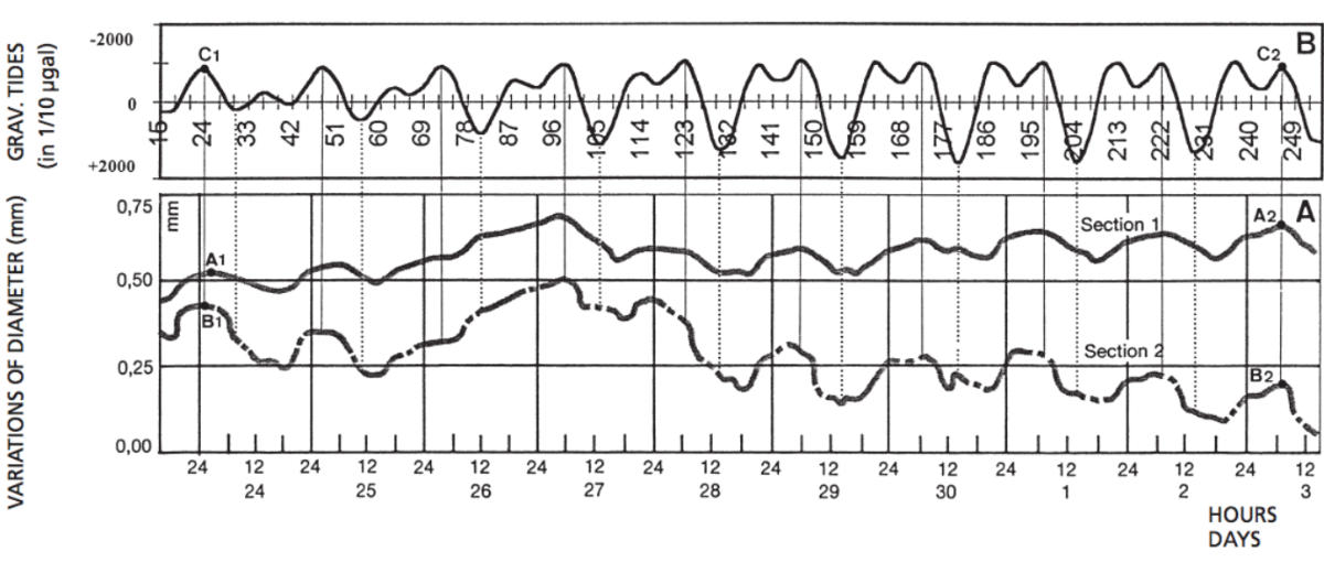 Abb3