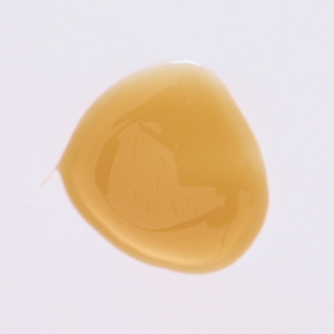 Fischleim flüssig, 1 kg der Serie LE004 Bild1 Fischleim flüssig 1 kg Serie LE004 Bild1