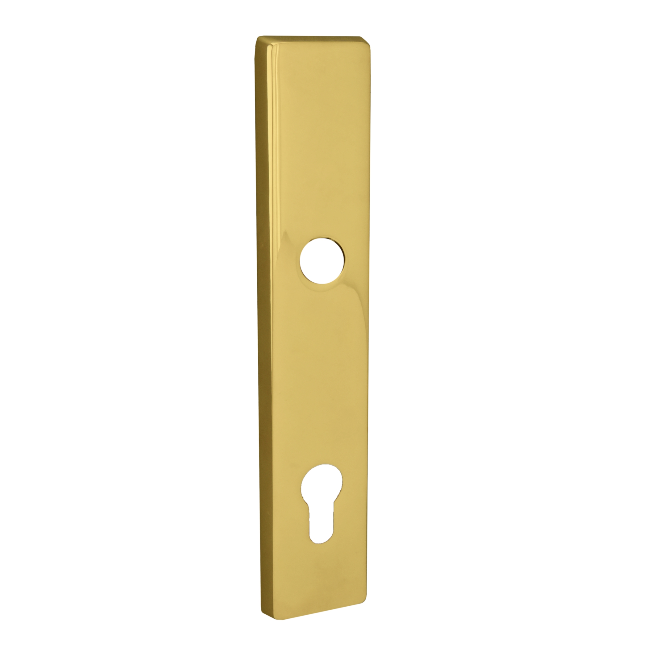 Sicherheitstürschild Außen, Dist. 92 mm PZ, Messing MGL, 235 x 45 x 5 mm der Serie TS124 Bild1